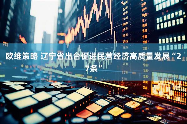 欧维策略 辽宁省出台促进民营经济高质量发展“27条”