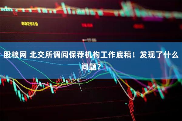股粮网 北交所调阅保荐机构工作底稿！发现了什么问题？