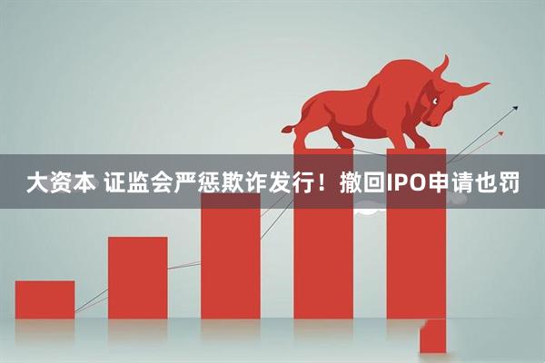 大资本 证监会严惩欺诈发行！撤回IPO申请也罚
