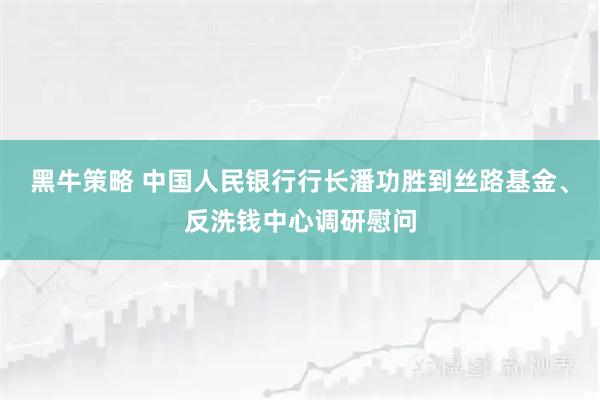 黑牛策略 中国人民银行行长潘功胜到丝路基金、反洗钱中心调研慰问
