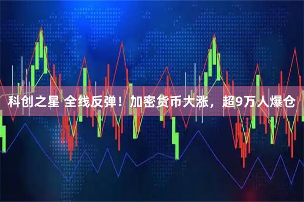 科创之星 全线反弹！加密货币大涨，超9万人爆仓
