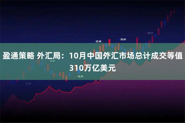 盈通策略 外汇局：10月中国外汇市场总计成交等值310万亿美元