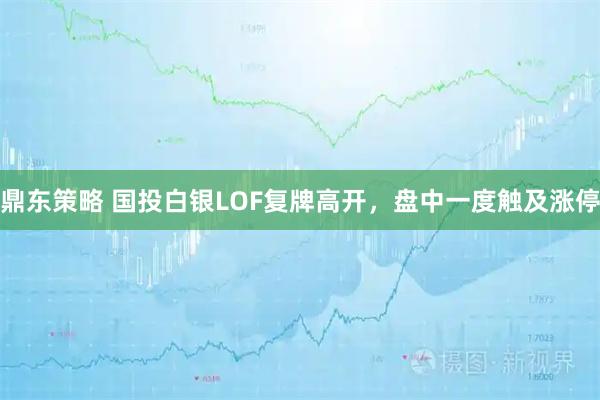 鼎东策略 国投白银LOF复牌高开,盘中一度触及涨停