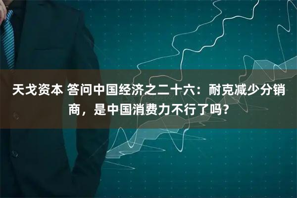 天戈资本 答问中国经济之二十六：耐克减少分销商，是中国消费力不行了吗？